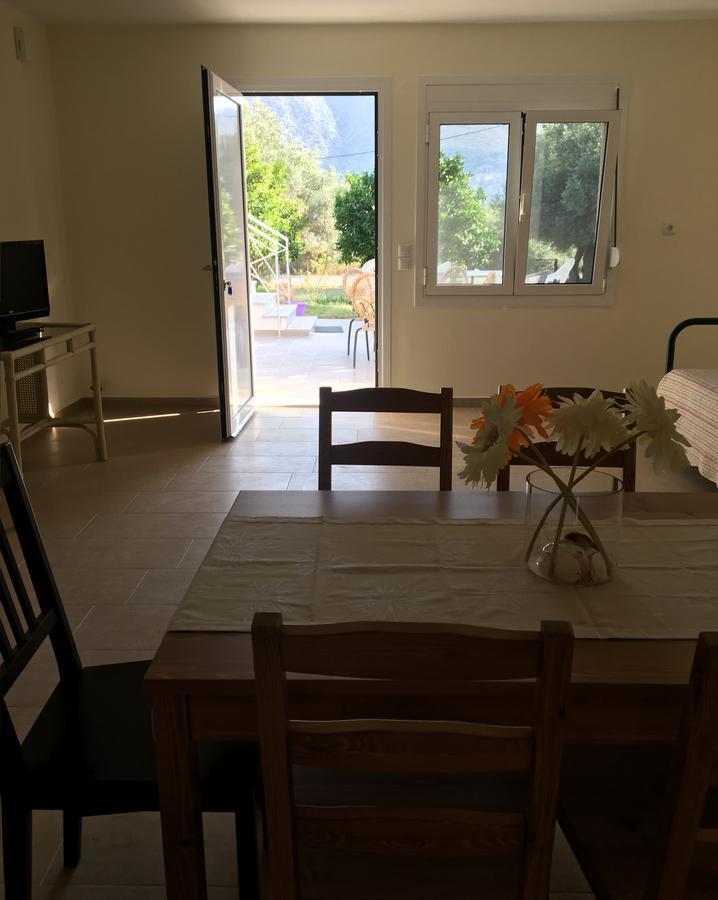 Armonia Apartment بلاتاريا المظهر الخارجي الصورة